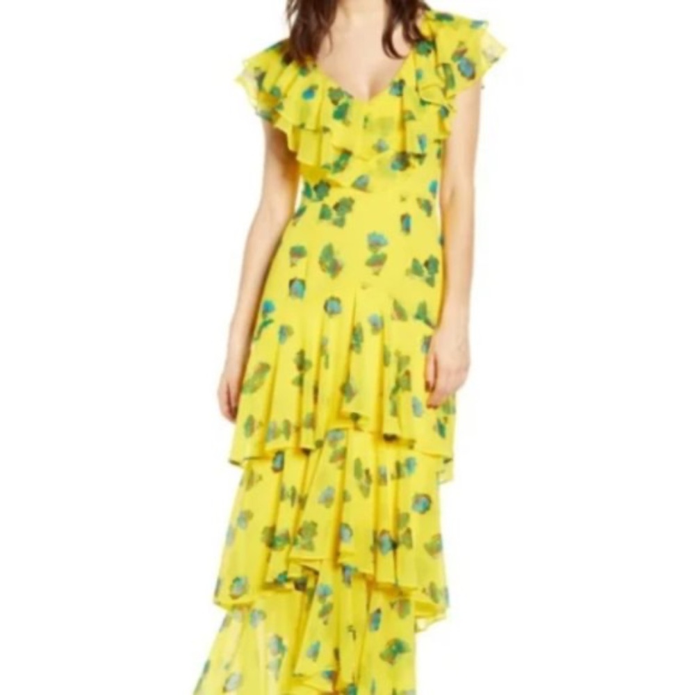 WAYF Ruffled Maxi Dress sz XS